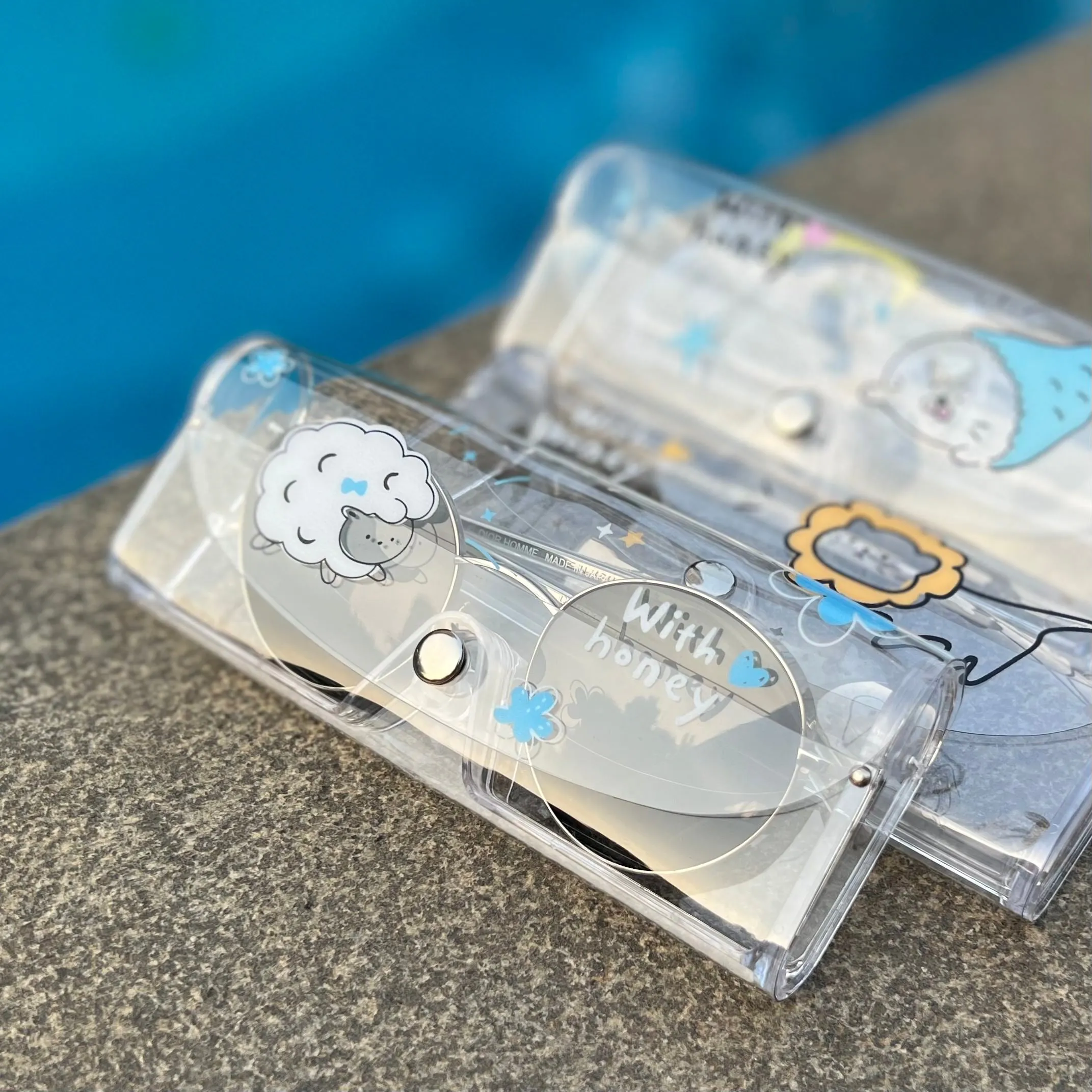 Clear Transparent Travel Sunglass Case - With Honey